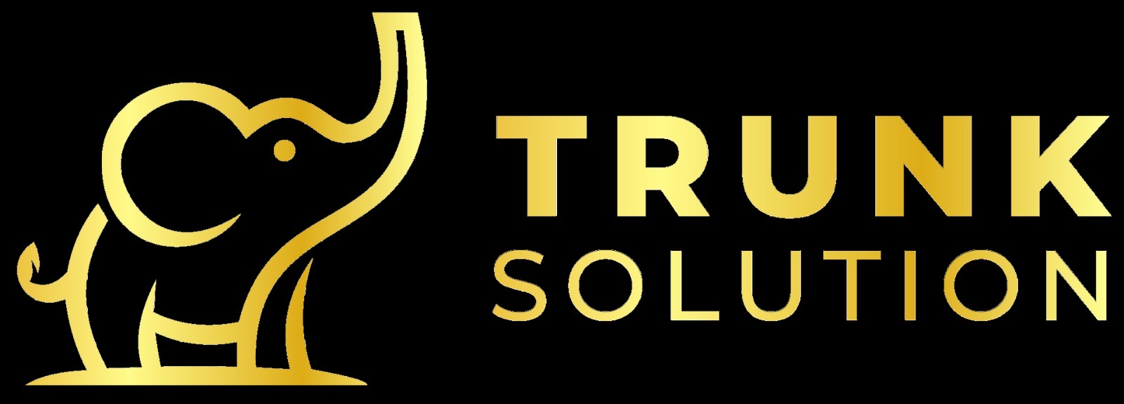 Company Icon
